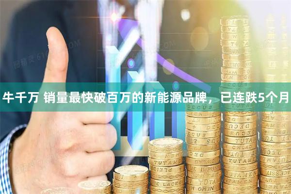 牛千万 销量最快破百万的新能源品牌，已连跌5个月