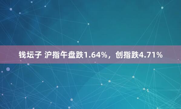 钱坛子 沪指午盘跌1.64%，创指跌4.71%